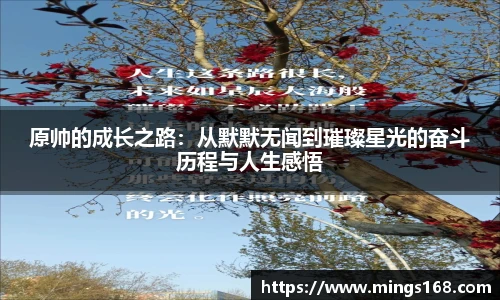 zoty中欧体育全站官网