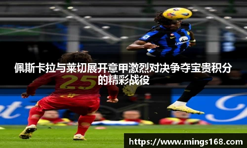 zoty中欧